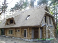 rookatus1