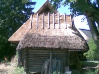 rookatus10