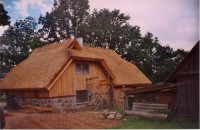 rookatus12