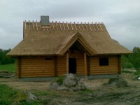 rookatus13
