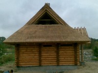 rookatus14