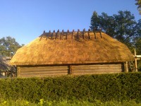 rookatus15