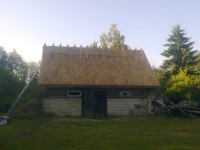 rookatus19