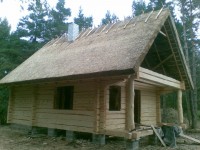 rookatus2