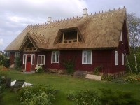 rookatus20