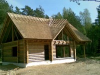 rookatus3