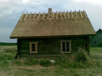 rookatus6